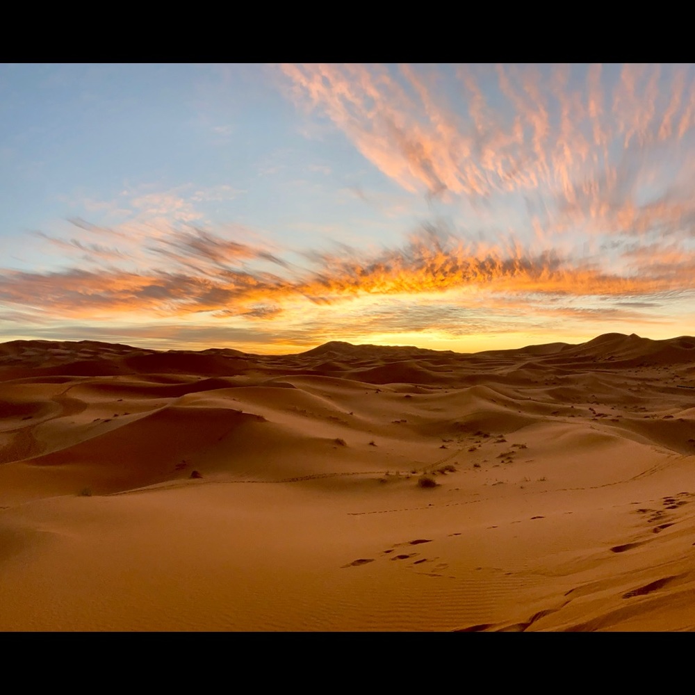 Meet your Posher, Tori